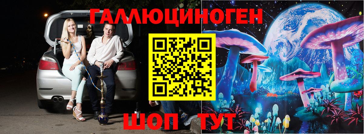Анжеро-Судженск  Галлюциногенные грибы прущие грибы  Вход с VPN 
